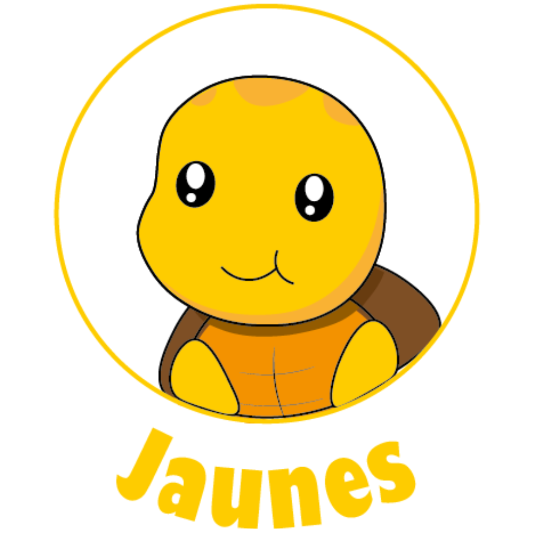 image Groupe Jaune Toussaint 2025